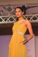 at Anita Dongre Cotton Council fashion show in Mumbai on 8th May 2012 (215).JPG